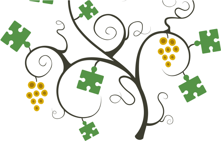 Grape Vine Puzzle - Grape Vines Illustration (1080x540)