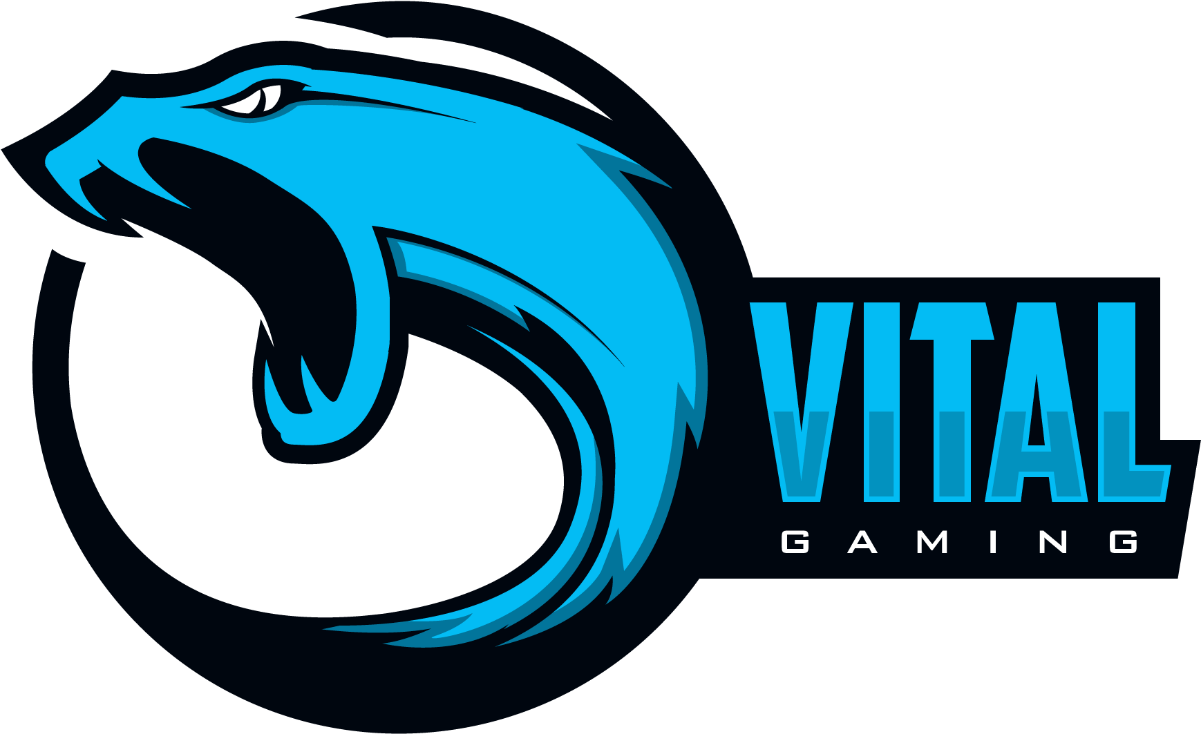 Vital Gaming (1920x1080)