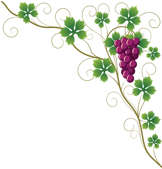 Grapes Border Png (522x561)