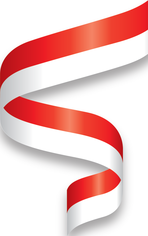 Flag Of Indonesia Flag Of Papua New Guinea National - Bendera Indonesia Png (478x763)