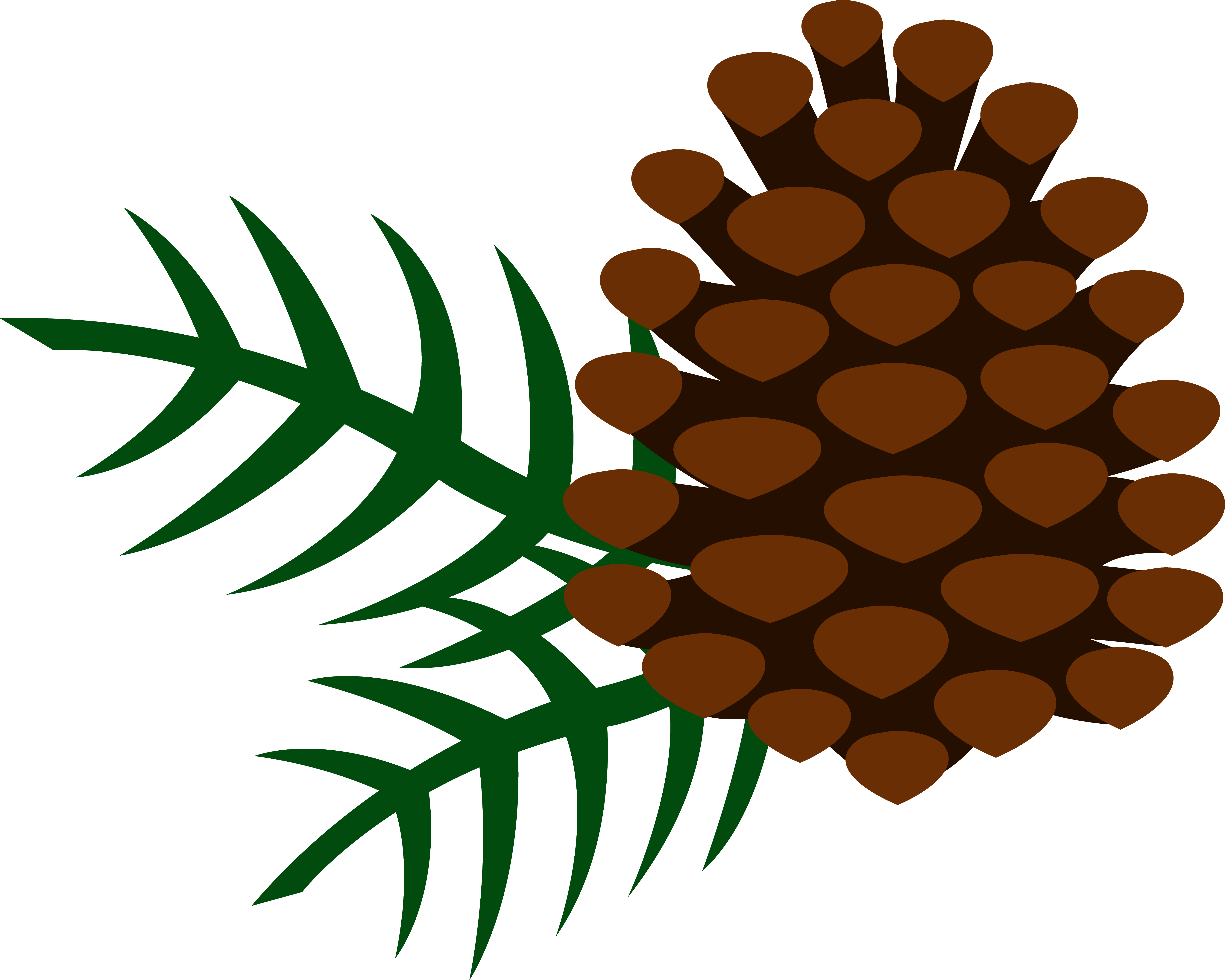 Needles Cliparts - Clip Art Pine Cone (6543x5237)
