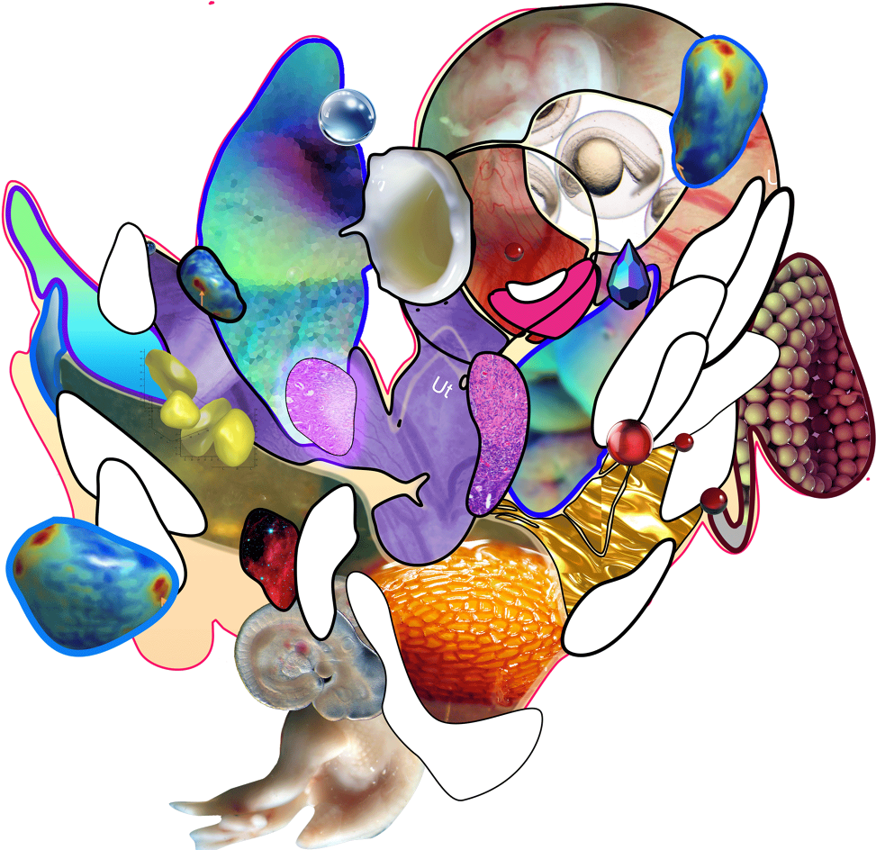 How We Do We Reach A State Where We Finally Feel Fine - Cartoon (1000x943)