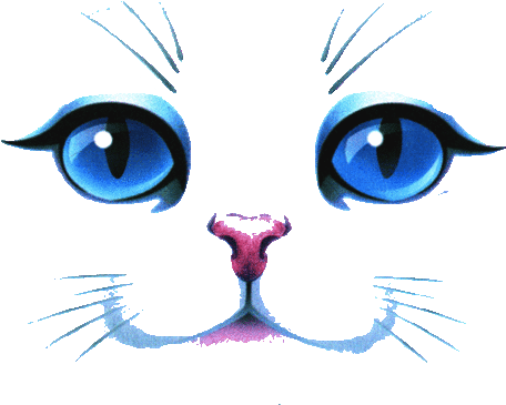 Whiskers Clipart Cat Eye - Cicás Rajzok (500x394)