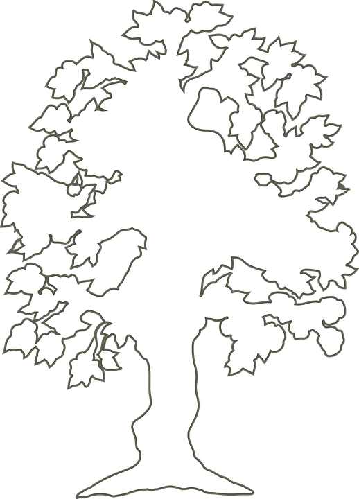 Tree Stencil Cliparts 14, Buy Clip Art - White Outline Of A Tree (518x720)