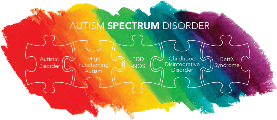 Special Education Exceptional Children In The Classroom - High Functioning Autism Spectrum Disorder (940x418)