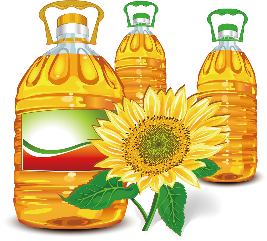 Sunflower Oil Olive Oil Clip Art - Vector (1181x1181)