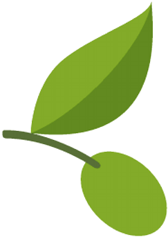 Olive Oil Store - Olive Oil Logo Png (400x400)