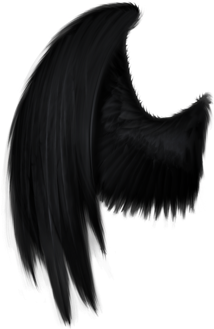 Black Angel Wing Png By Starscoldnight On Clipart Library - Black Angel Wings Png (900x1077)