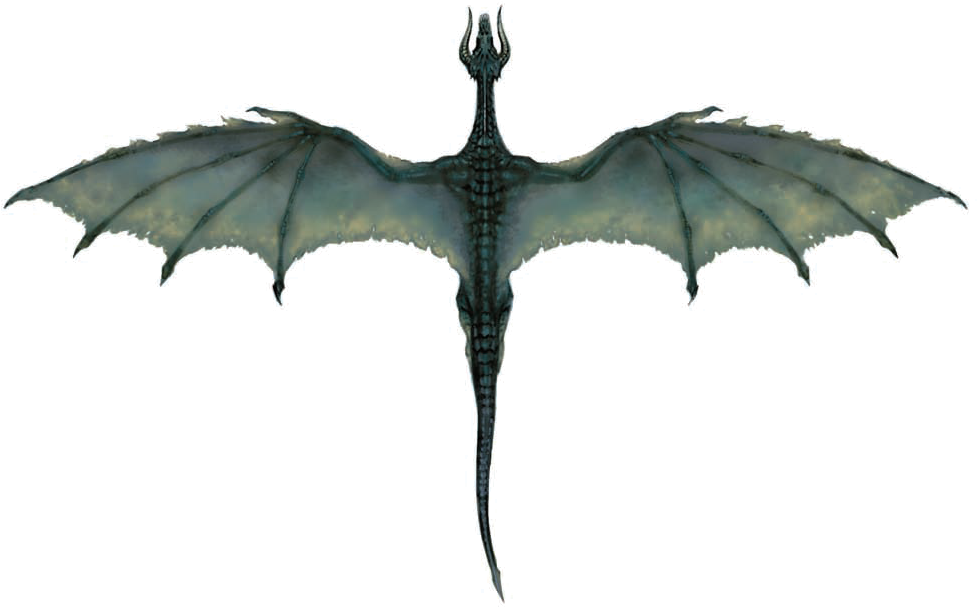 Maleficent Black Wings For Kids - Top Down Dragon (1045x688)