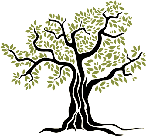 Choose - Olive Tree Vector Png (500x460)