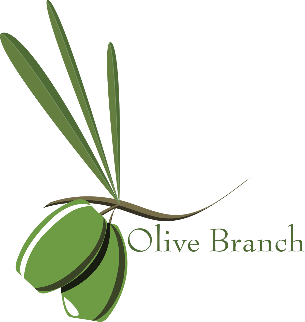Olive Branch Petition Photos Free Image - Olive Branch Petition Drawing (1199x1267)