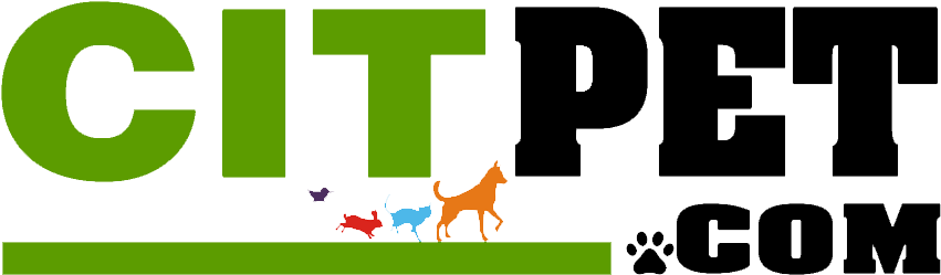 About Us - Secret Story (880x269)