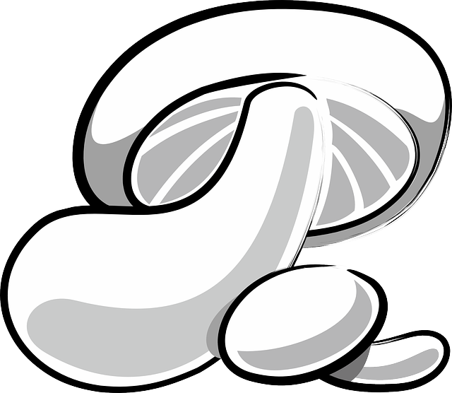 White Mushroom, Fungi, Fungus, White - Clip Art (640x556)