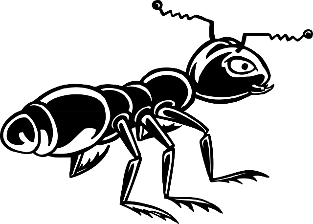 Shine Black, Ant, Art, Shiny, Insect, Shine - Ant Black And White (640x458)