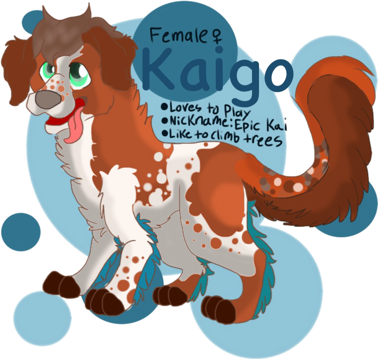 Kaigo The Kooikerhondje Shaded By Quarter Moon Wolf - Illustration (830x830)