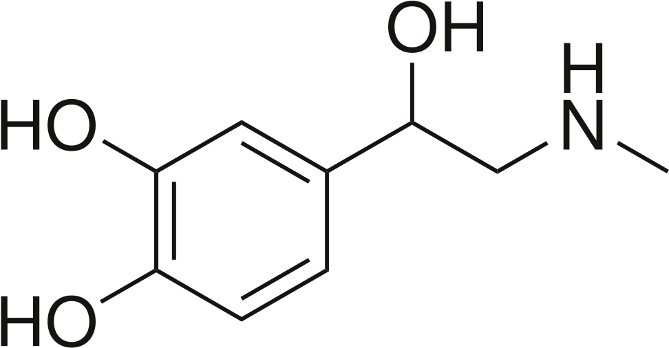 Stress, Learning To Live In The Moment, And Some Paleo - N N Diethyl M Toluamide (1000x524)