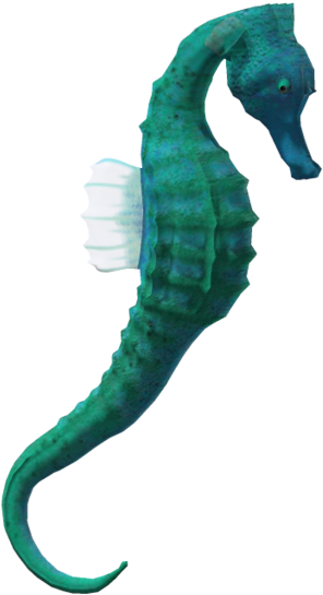 Realistic Clipart Seahorse - Animals Under Water Png (1024x639)