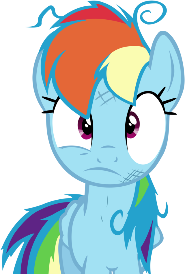 We Got The Wrong Pony Vector By Darkfear 10 - My Little Pony Rainbow Dash Crazy (791x1011)