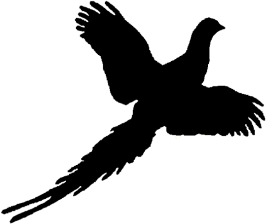 Pheasant Black And White (575x513)