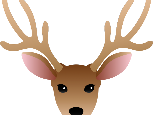 Doe Head Cliparts - Deer Head Clipart (640x480)