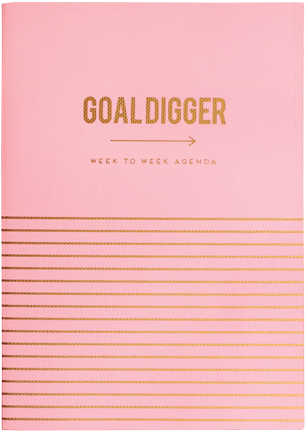 Alice Scott Agenda Planner - Pink (600x600)