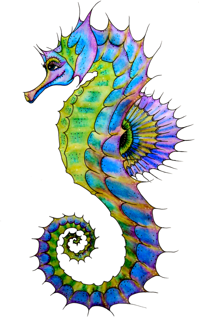 Seahorse In Png Image - Seahorse Drawing Colorful (691x1155)