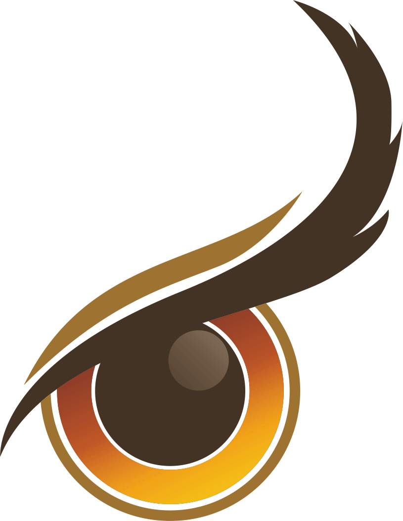 Eyeball Clipart Eye Symbol - Eagle Eye Logo Designs (815x1054)