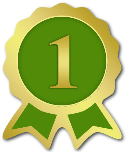 Paper Ribbon Prize Award Clip Art - 1st Place Ribbon Png (500x500)
