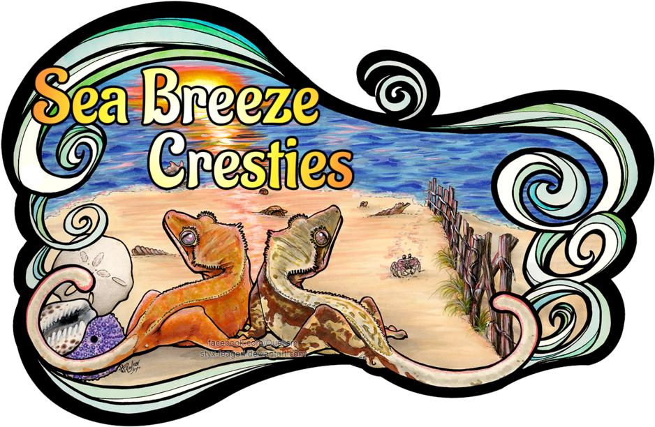 Sea Breeze Cresties - Cartoon (1024x677)