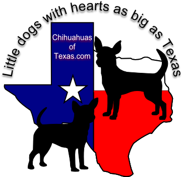 Chihuahua (380x361)