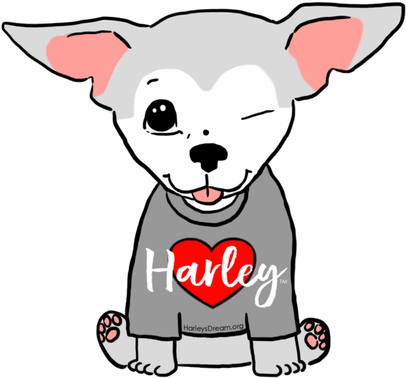 Temporary Tattoos - City Star Brewing (600x600)