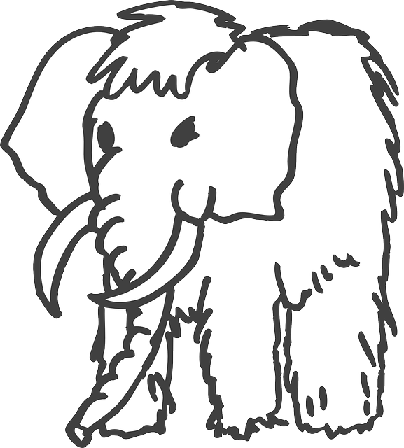 Tusks Outline, Art, Animal, Ancient, Mammoth, Fur, - Mammoth Clipart Black And White (577x640)