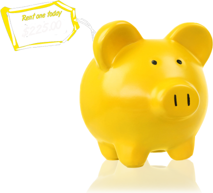 Better Service, Lower Prices - Domestic Pig (426x386)