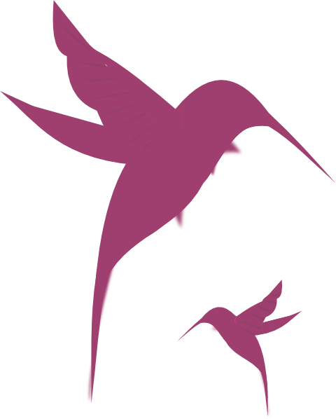 Magenta Hummingbird Silhouette Clip Art At Clker - Pink Hummingbird Clipart (480x598)