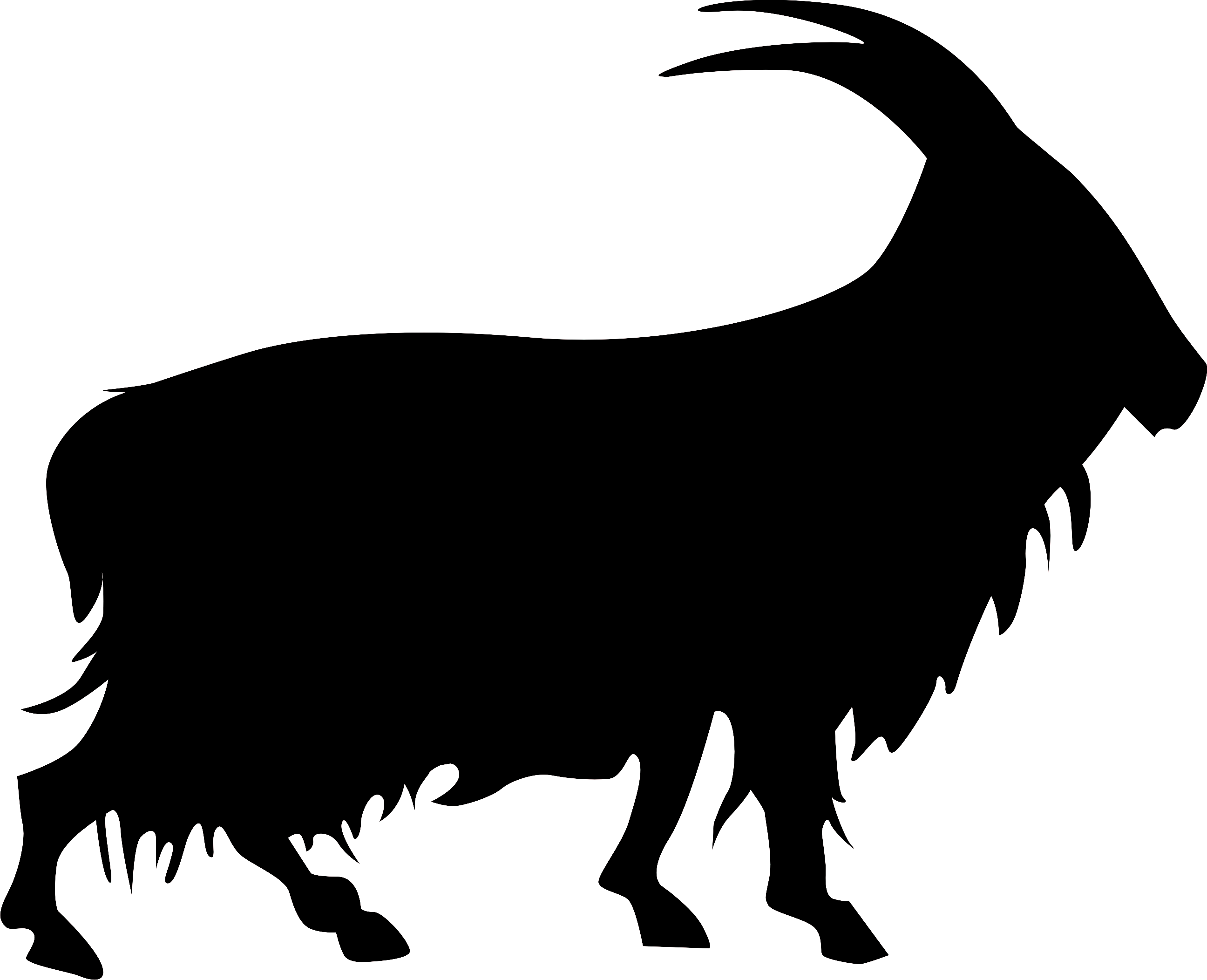 The Cashmir Goat - Bull (2592x2104)