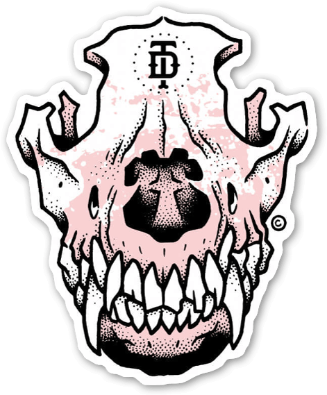 Canine Skull Drawing (503x600)