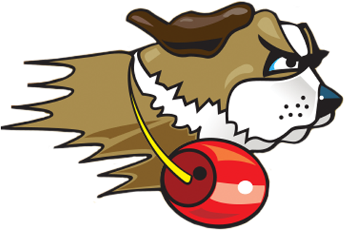 Veteran Head Coach Steve Brooks Takes Over Women's - University Of St. Francis (500x340)