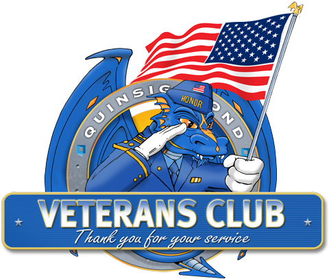 Veteran Affairs Wyvern - Flag Of The United States (500x442)