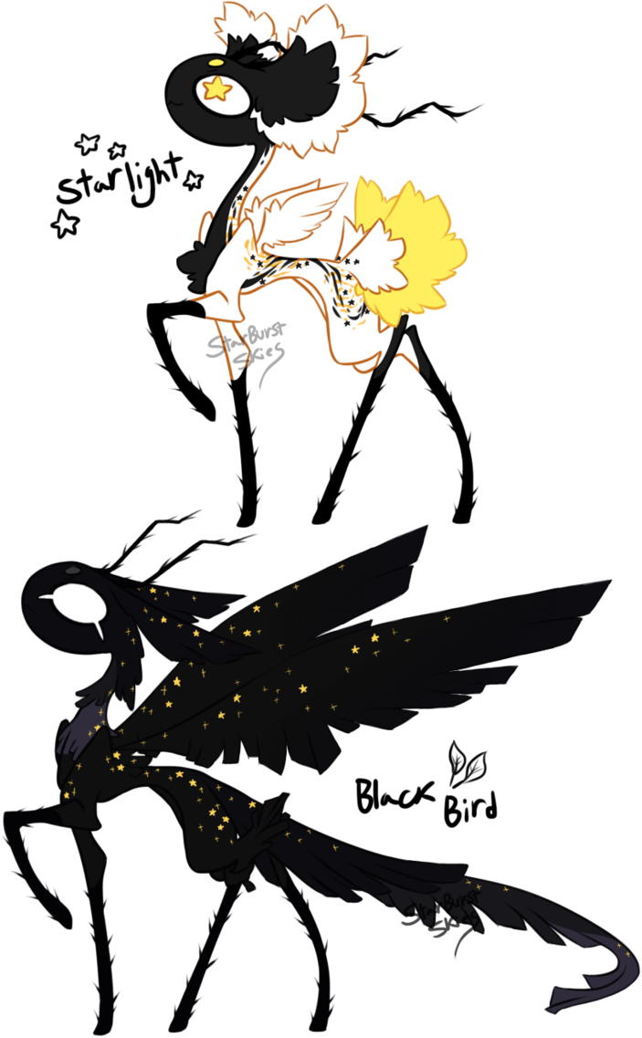 Briarling Design - Illustration (703x1137)