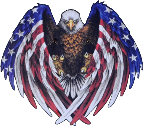 Made In The Usa A Veteran Owned Company - American Flag Eagle (500x450)