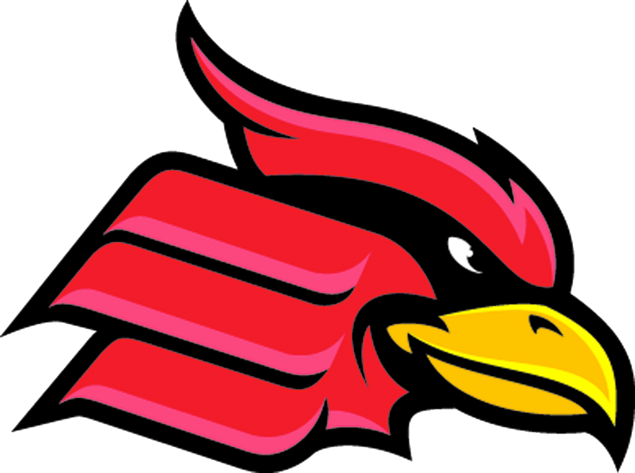 Rugby East Drop On - Wheeling Jesuit University Cardinals (2100x1564)