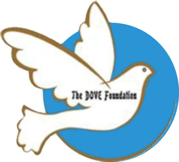 World Of Work Summer Internship Blog Graphic Design - Dove (800x661)