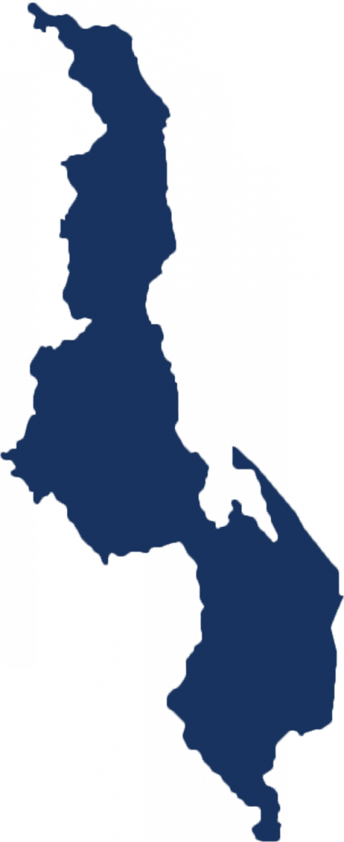 Malawi - Malawi Flag Map (490x1200)