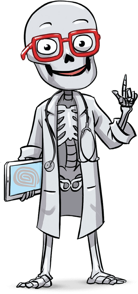 Meet Dr - Bonyfide - Dr. Bonyfide Presents Bones Of The Hand, Arm, And Shoulder (447x963)
