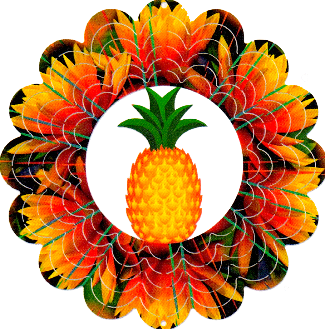 Pineapple - Ananas (1041x1053)
