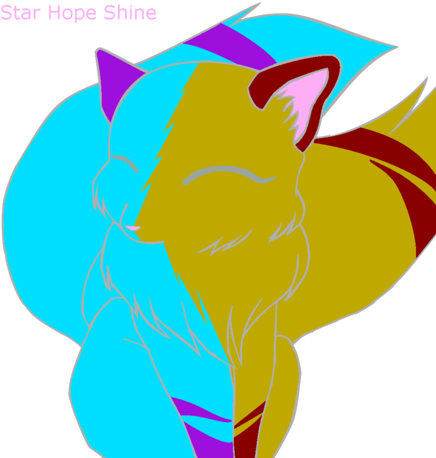 Star Shine Agreeing By Star Hope Shine - Star Shine Agreeing By Star Hope Shine (873x916)