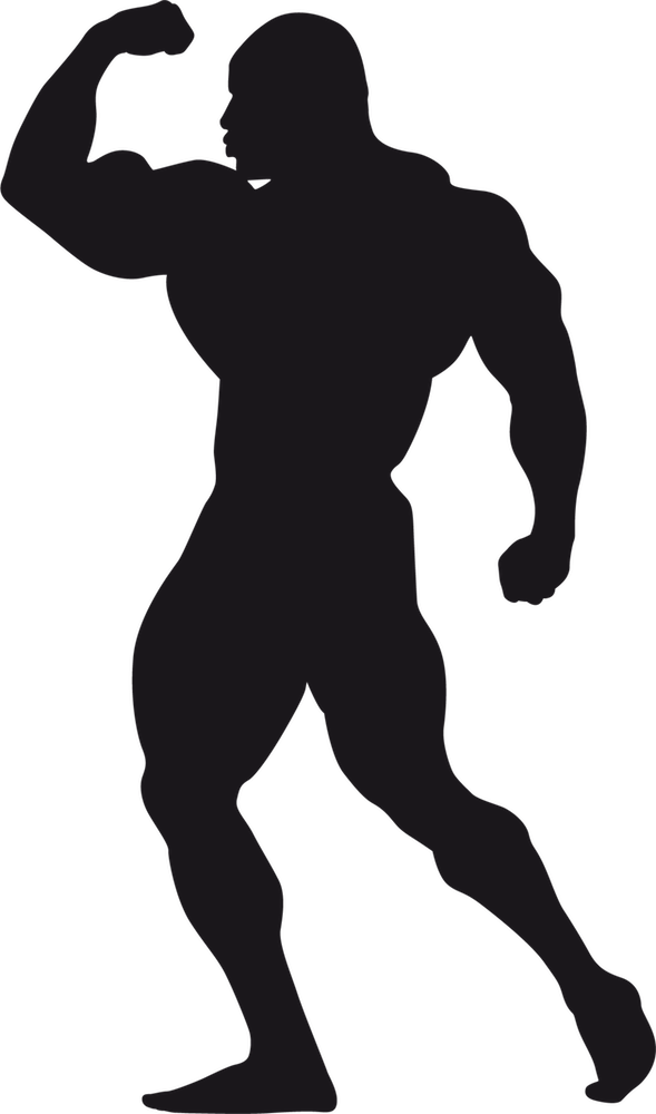 Bodybuilding Stickers Messages Sticker-10 - Mural (589x1000)