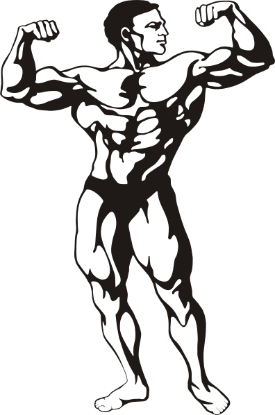 Weight Health - Clip Art (396x598)