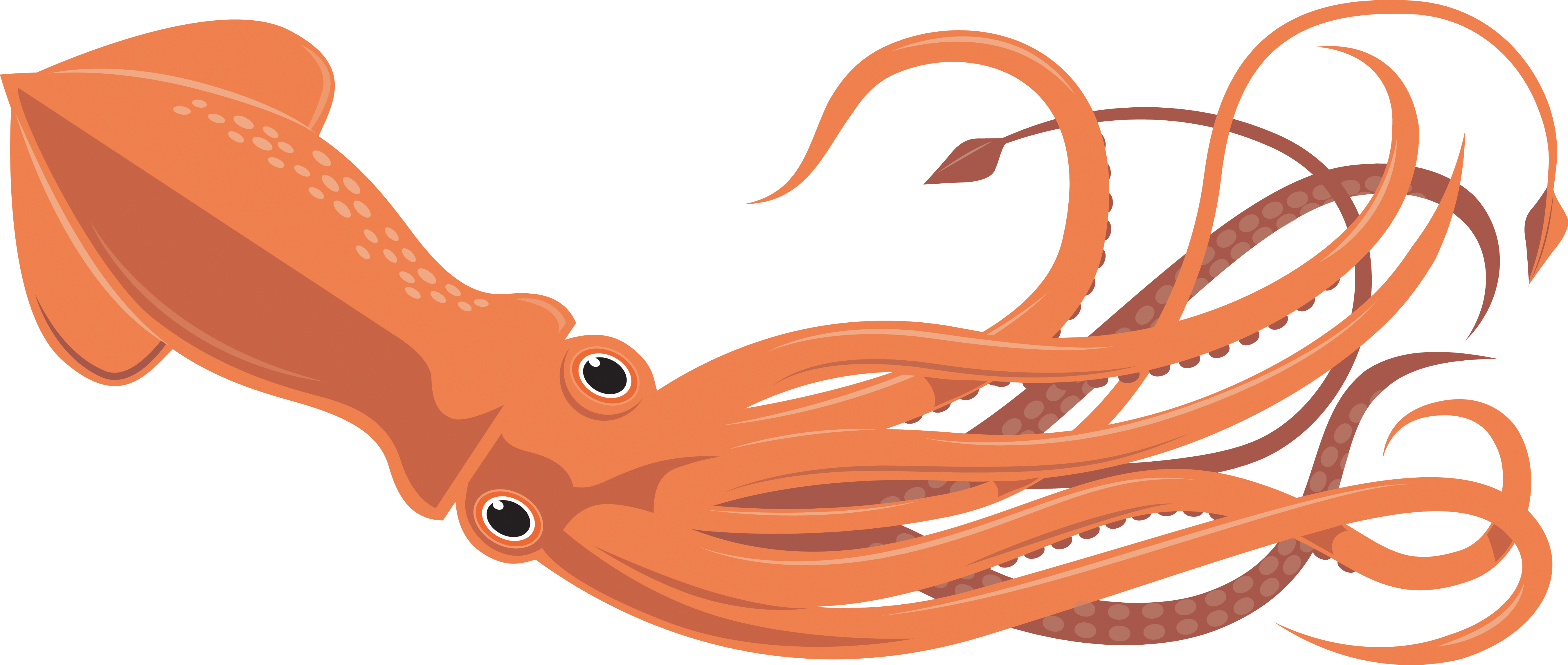 Clipart Blue And Beige Squid - Clipart Squid (5401x2292)
