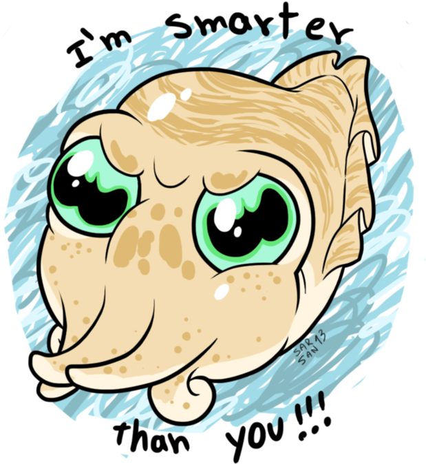 Creative Cuttlefish Clip Art Medium Size - Cartoon (918x870)